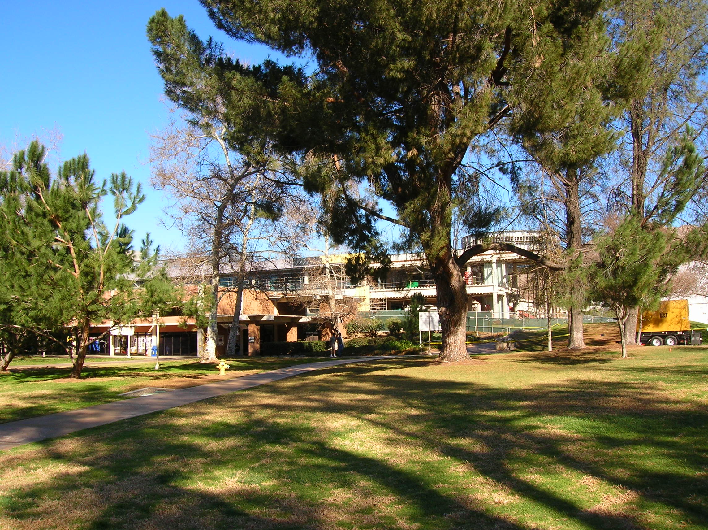 photo8