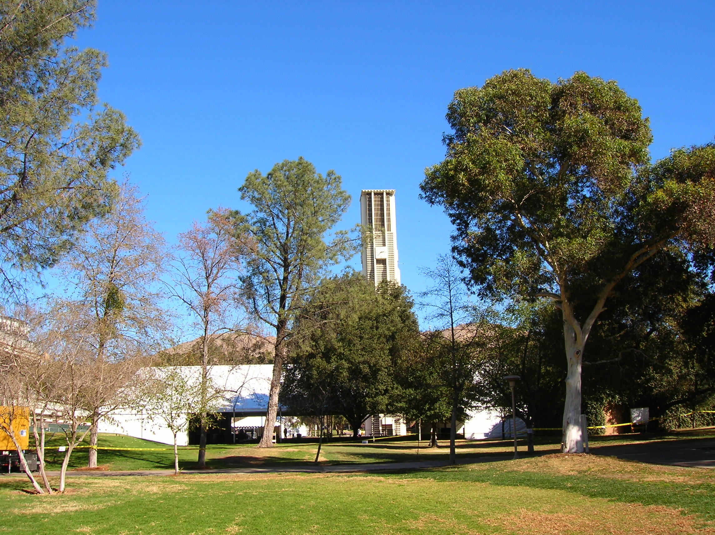 photo10
