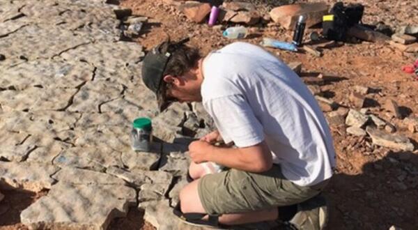 Man inspecting fossils