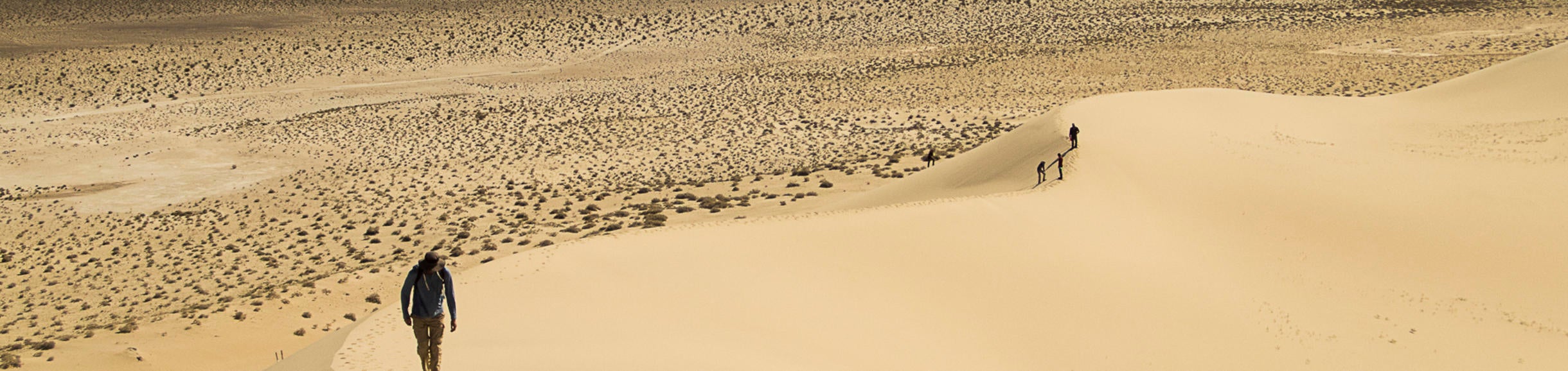 People walking on the ridge of a sand dune