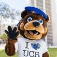 Scotty-the-bear Scotty-the-bear