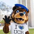 Scotty the bear Scotty the bear